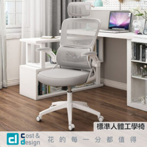 【C&D】標準人體工學椅