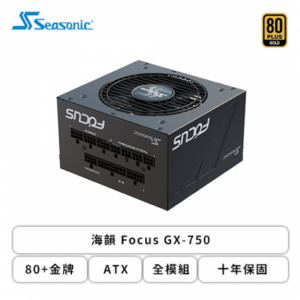 海韻 Focus GX-750 (80+金牌/ATX/全模組/十年保固)