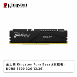 金士頓 Fury Beast (獸獵者) DDR5-5600 32GB-黑(CL36)