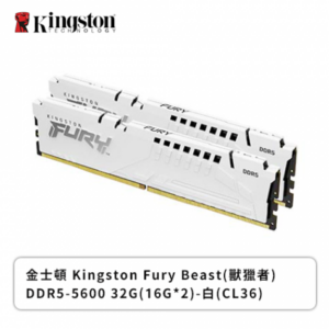 金士頓 Fury Beast(獸獵者) DDR5-5600 32GB(16G*2)-白(CL36)