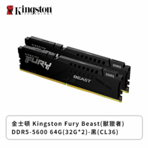 金士頓 Fury Beast (獸獵者) DDR5-5600 64GB(32GB*2)-黑(CL36)