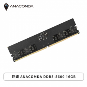 巨蟒 ANACOMDA DDR5-5600 16GB