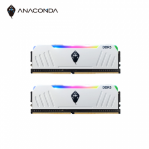巨蟒 ANACOMDA G5 Python RGB DDR5-6000 32G(16G*2)-白(CL36)