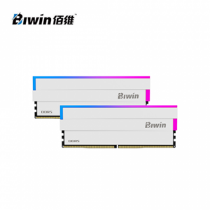 BIWIN DW100 RGB DDR5-6000 32GB(16G*2)白(CL28)