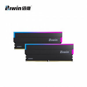 BIWIN DW100 RGB DDR5-6000 32GB(16G*2)黑(CL28)